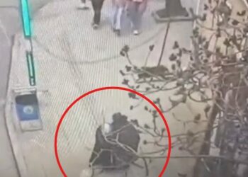 Dilencilik bahanesiyle çantanın kulpunu kesip cüzdan yağmalayan şüpheli tutuklandı