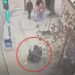 Dilencilik bahanesiyle çantanın kulpunu kesip cüzdan yağmalayan şüpheli tutuklandı