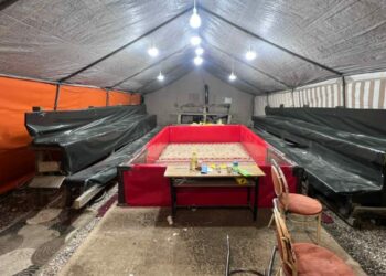 Horoz dövüştürülen çadıra baskın; 16 kişiye para cezası