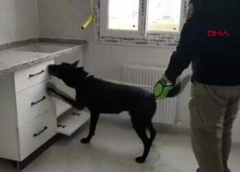 Adana'da 'torbacı' operasyonunda 2 tutuklama