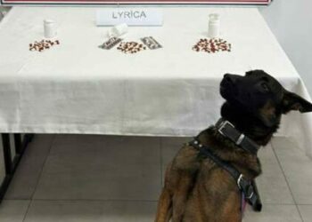 Aydın'da uyuşturucu operasyonu; 10 tutuklama