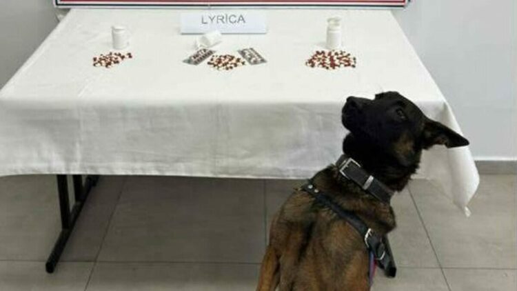 Aydın'da uyuşturucu operasyonu; 10 tutuklama