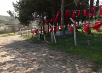 Çanakkale’de denizaltı ele geçirilmesini sağlayan Müstecip Onbaşı, savaşın gizli kahramanlarından