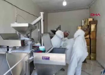 Mardin’de arı üreticilerine destek