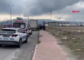 TIR şoförü, kullandığı aracın yanında ölü bulundu
