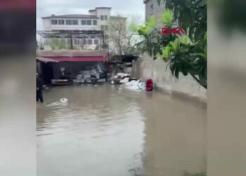 Reyhanlı'da yağış sele döndü