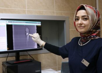 Akvaryumda taş yutan aksolotl balığı ameliyat edildi