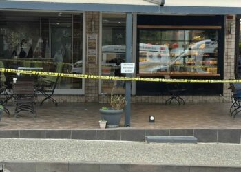 Aydın’da fırın sahiplerine silahlı saldırı: 2 kardeş öldü