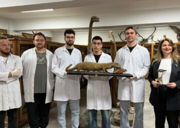 Doldurulmuş hayvan koleksiyonu, müzede korunuyor