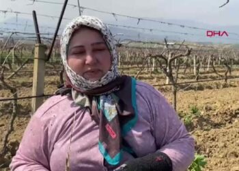 Afşar ve Buldan barajlarında doluluk 10 yıl aradan sonra yüzde 75'e yükseldi