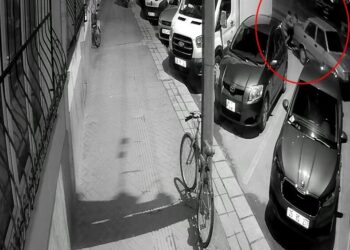 Park halindeki otomobili iterek çaldılar