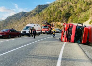 Artvin’den devrilen TIR'ın şoförü yaralandı