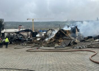 Ahır yangınında çok sayıda hayvan öldü