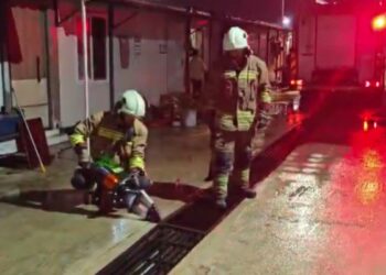 Mazgalda mahsur kalan kedi ve yavruları kurtarıldı