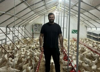 Otomobilini satıp hayali olan tavuk çiftliğini kurdu