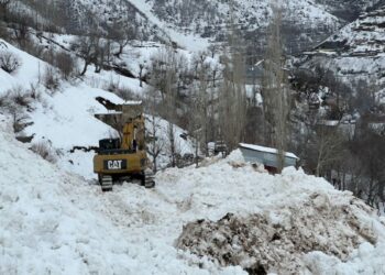 Yüksekova'da köye düşen çığ korkuya neden oldu