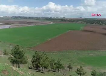 'Diyarbakır'da 3 günlük yağmurun yarısı nisanda yağarsa bitki kurtulur, çiftçinin yüzü güler'