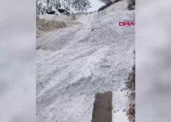 Beytüşşebap’ta çığ düşen yolun ulaşıma açılması için çalışmalar sürüyor