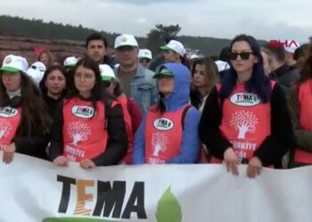 İzmir'de yanan alanda 15 bin fidan toprakla buluşturuldu