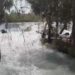 Tarsus Şelalesi yeniden coştu