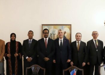 Bakan Bolat, Somalili mevkidaşı Hassan ile bir araya geldi