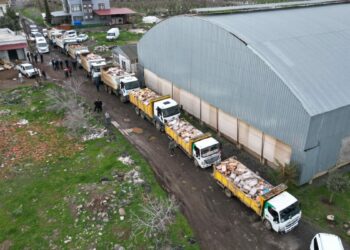 Şanlıurfa’da 50 ton bozuk tavuk eti ele geçirildi