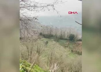 Rize'de gökyüzünde süzülen şahin sürüsü kamerada