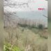 Rize'de gökyüzünde süzülen şahin sürüsü kamerada