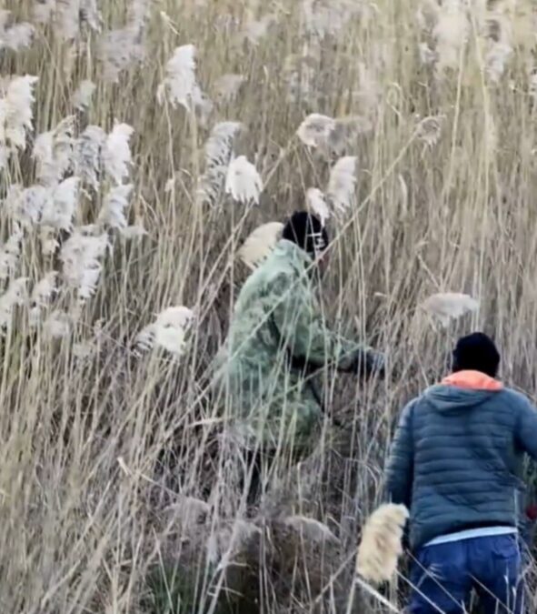 Burdur'da yasa dışı avcılık faaliyetine idari ceza