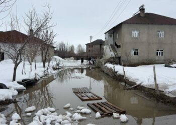 Yüksekova'da biriken kar eriyince evlerin bahçeleri su ile doldu