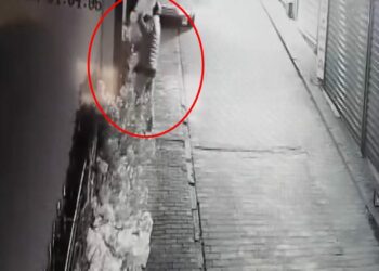 Süs ağacı çalınan iş yeri sahibi: Özür dilerse şikayetçi olmayacağım