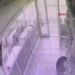 Sanal medyada tanıştıkları kişileri restorana çağırıp fahiş hesap ödeten 7 kişi gözaltına alındı