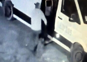 Avcılar'da mahallenin maskotu 'Garip' isimli köpeği çalan şüpheli yakalandı