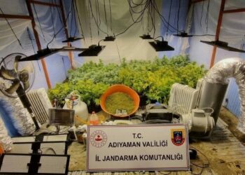 Adıyaman'da uyuşturucu operasyonu: 1 tutuklama