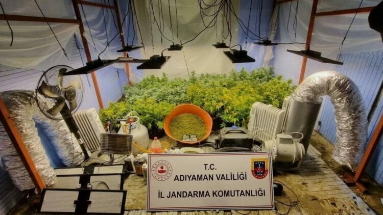 Adıyaman'da uyuşturucu operasyonu: 1 tutuklama