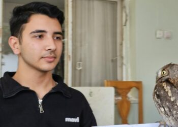 14 yaşındaki Berk, yaralı bulduğu İshak kuşunun yaşama tutunmasını sağladı
