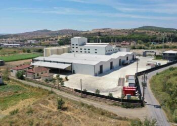 Ayvalık'tan çıkan zeytinyağı markası Aivalos'un yurt dışına açılma hedefi