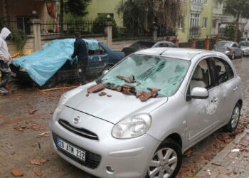 Denizli'de kuvvetli rüzgar; ağaçlar devrildi, çatılar uçtu