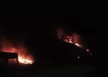 Ormanda çıkan örtü yangını söndürüldü