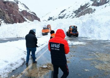 Çığ nedeniyle ulaşıma kapanan Van-Hakkari kara yolu açıldı
