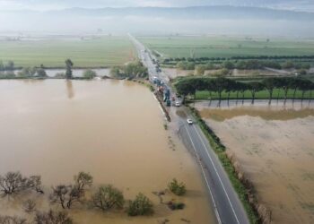 Büyük Menderes Nehri yine taştı, tarım arazileri su altında kaldı