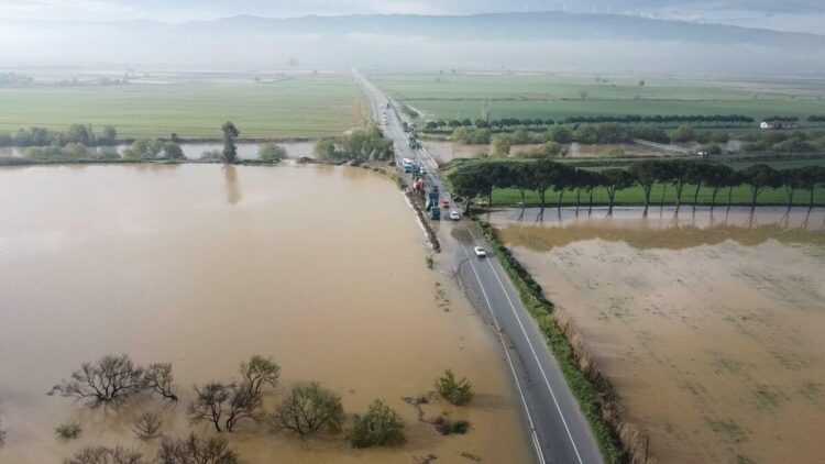 Büyük Menderes Nehri yine taştı, tarım arazileri su altında kaldı
