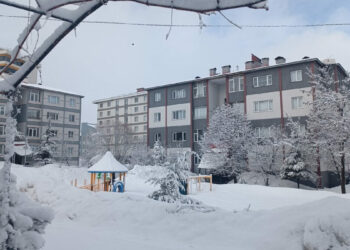 Bitlis’te kar yağışı