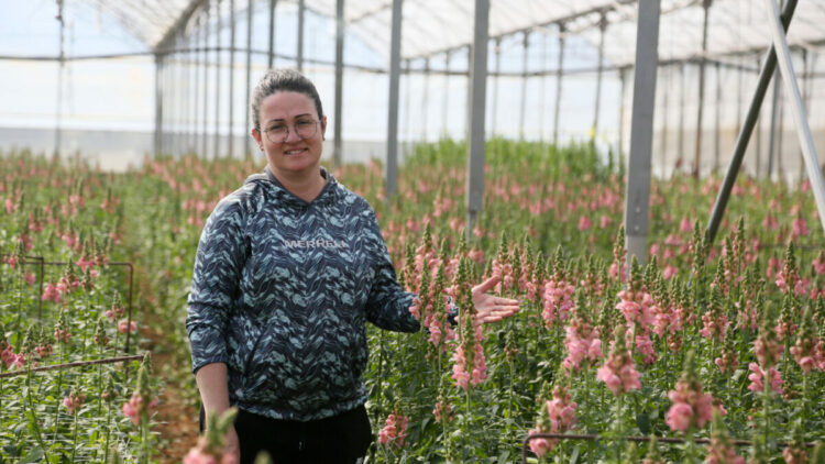Antalya'dan Avrupa'ya yeni çiçek: Aslanağzı