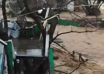 Yalova’da sağanak nedeniyle dereler taştı, 5 büyükbaş öldü