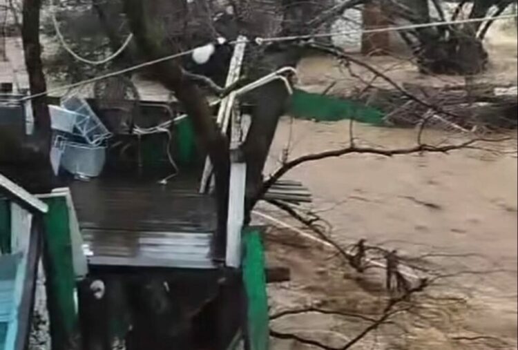 Yalova’da sağanak nedeniyle dereler taştı, 5 büyükbaş öldü