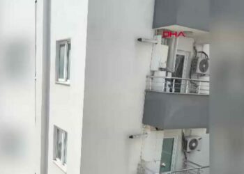 Balkon filesine takılan güvercin kurtarıldı