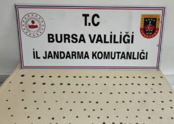 Bursa’da 137 sikke ele geçirildi