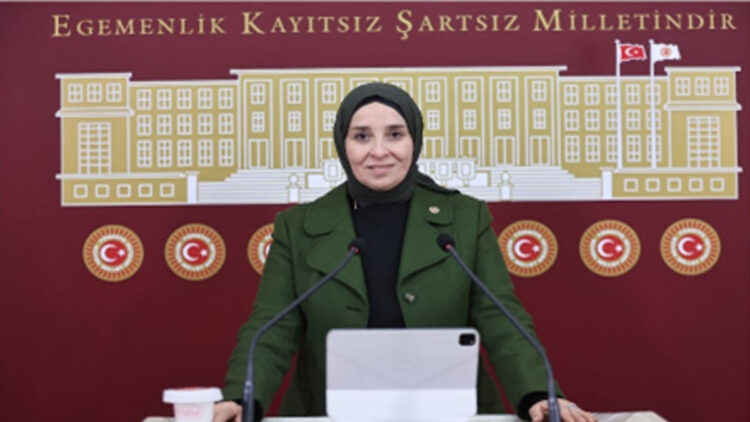 Elif Esen’den orman yangınları hakkında soru önergesi