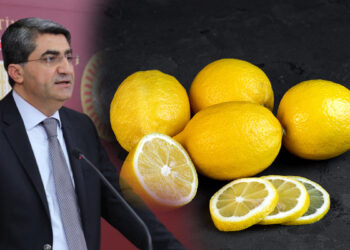 Limon politikalarındaki hatalar bugün ithalatı zorunlu hale getirdi